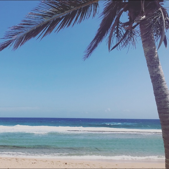 Meet your Posher, Roxana - Picture 1 of 1